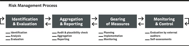 Risk Management Process